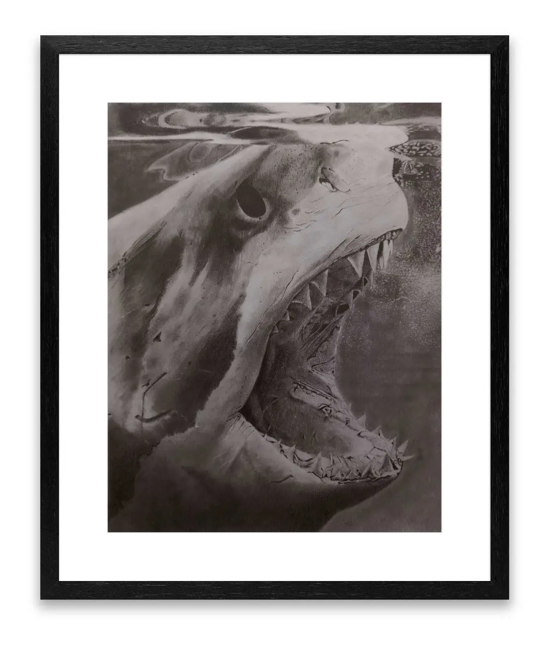 Drawing of a great white shark
